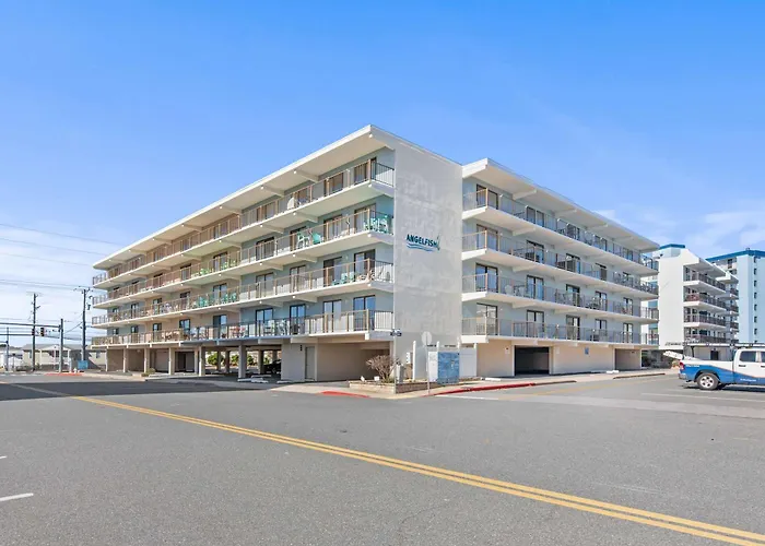 Angelfish 207 * Ocean City